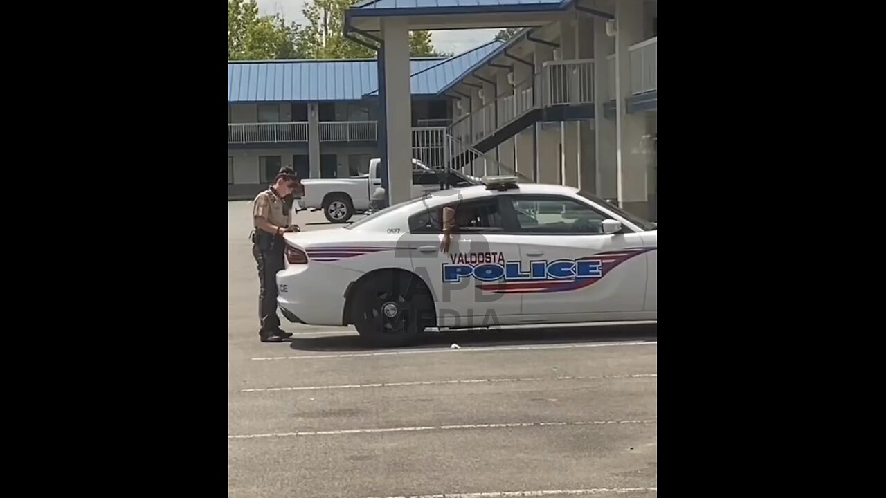 Who’s the Dim-Witted One? 🤔 #dimwitted #japd