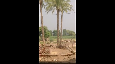 my village beautiful video