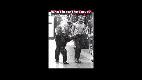 The Tragedy of Oliver: When Curiosity Becomes Cruelty