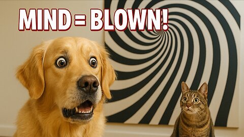 Mind-Blown Pets 🤯 Their FUNNIEST Reactions to Optical Illusions !