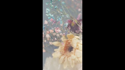 The Sovereign Mind: A Realm of True Bliss
