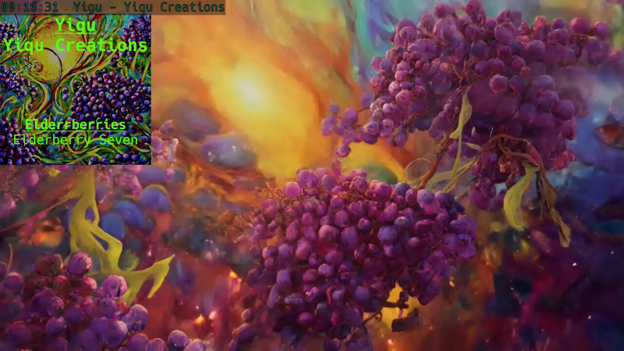Elderberry Seven