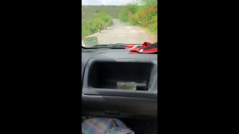 driving in jungle
