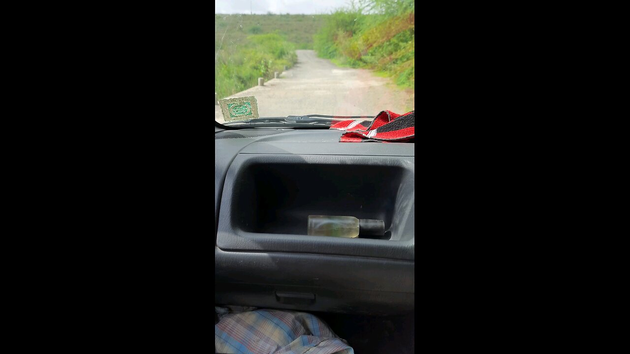 driving in jungle