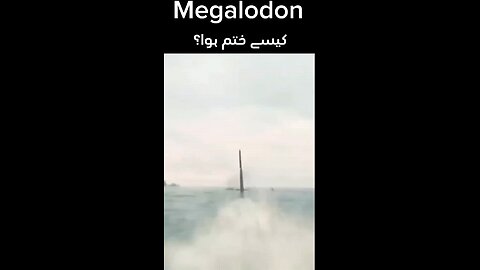 Megalodon