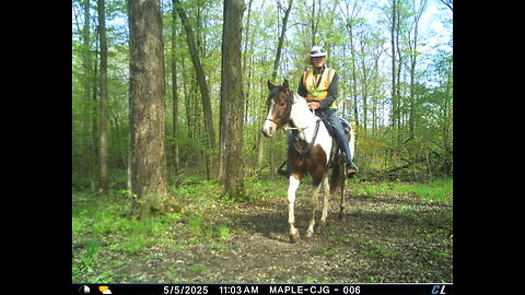 Oakley third ride - second under saddle 5 May 2025