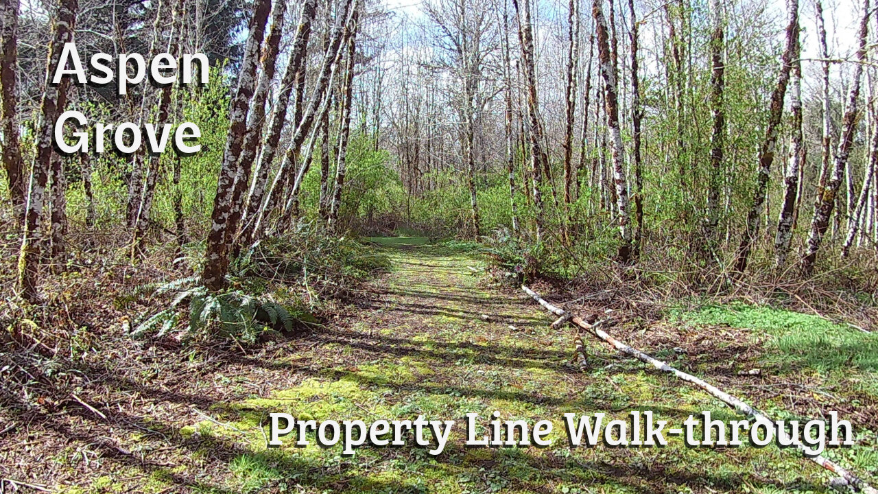 Property Walk-through- Aspen Grove