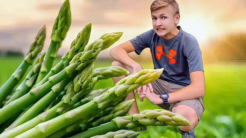 Lots of Asparagus - Homesteading Journey