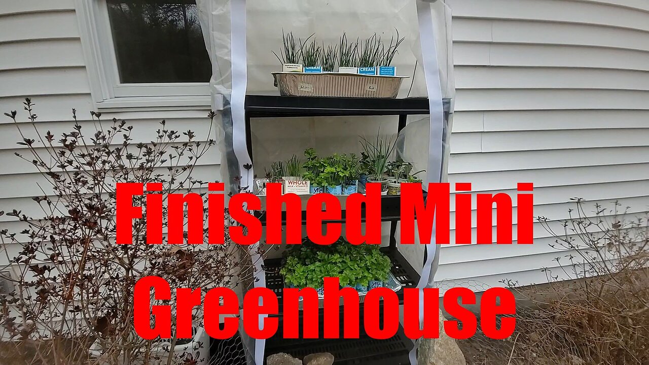 Mini Greenhouse Part 2