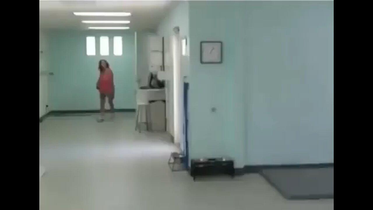 this woman's reaction after seeing her dog walk after physical therapy