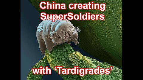 China's army of super soldiers: