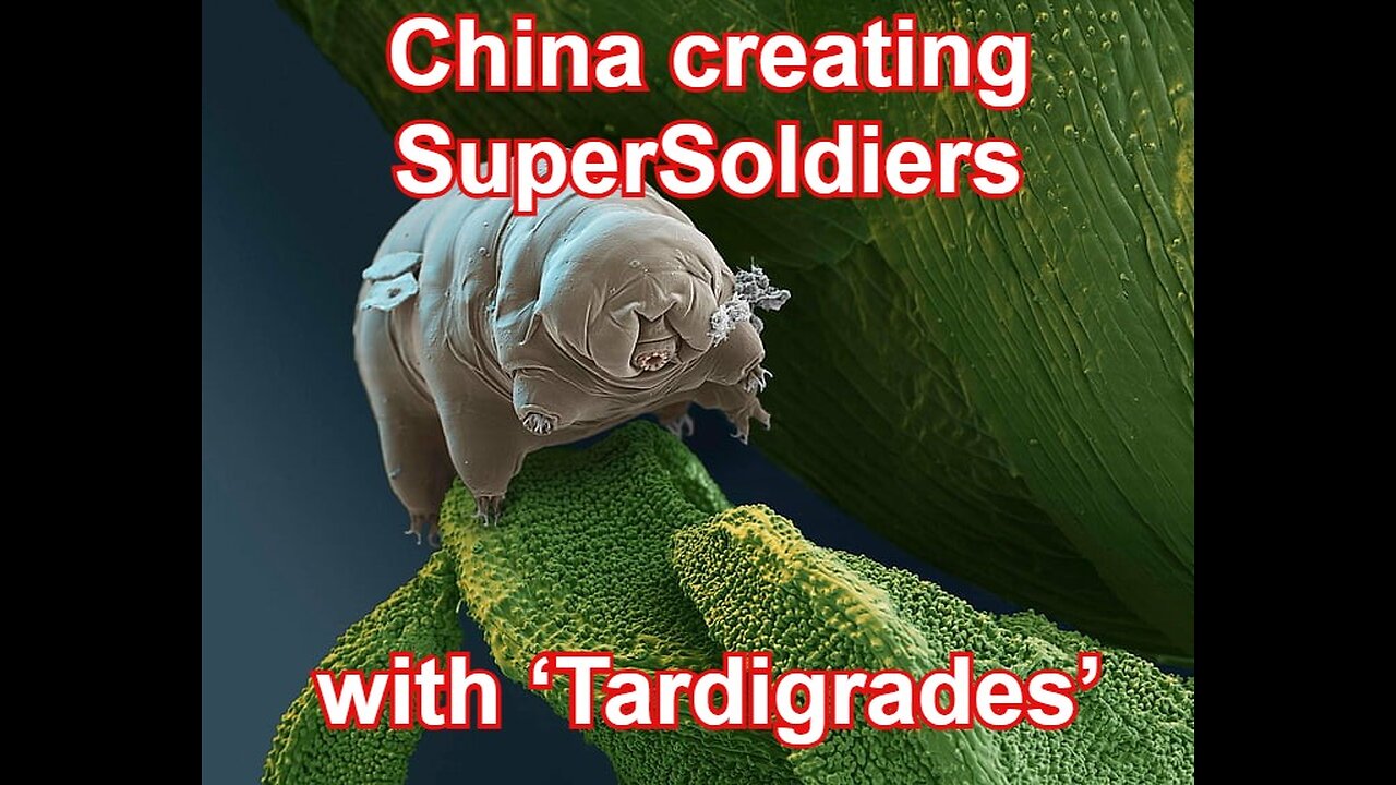 China's army of super soldiers: