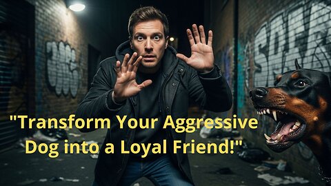How to deal with an aggressive dog?