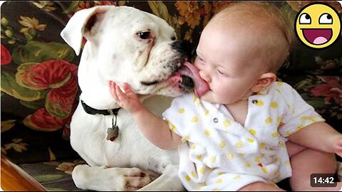 Baby and Pet Funny Compilation That Will Make Your Day ☀️🐾