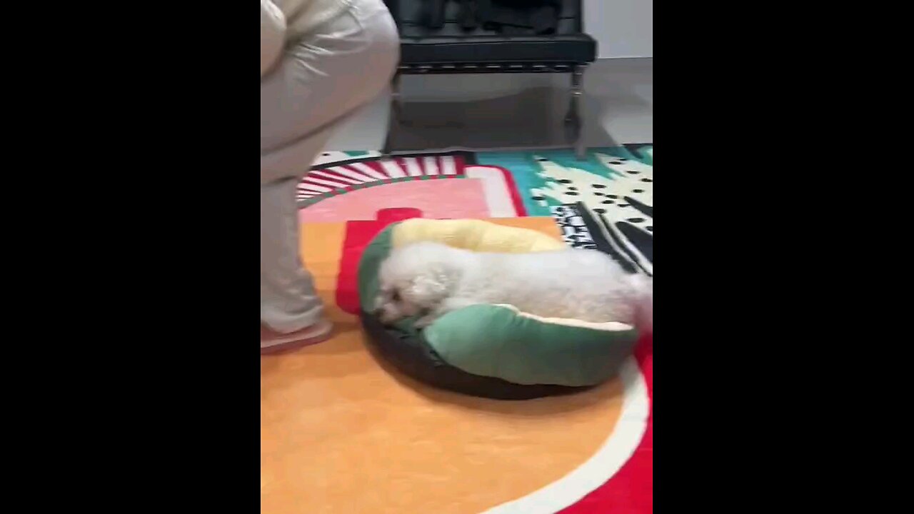 मेरे बिस्तर पर मत बैठो