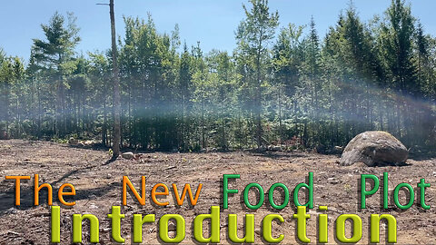 THe New Food Plot Introduction