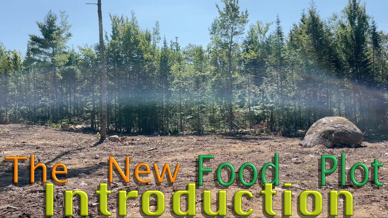 THe New Food Plot Introduction