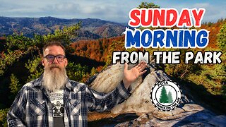 Sunday Morning Stream From The Park