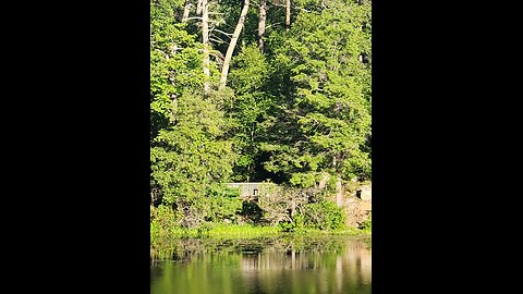 The Great Fairy's Pond.