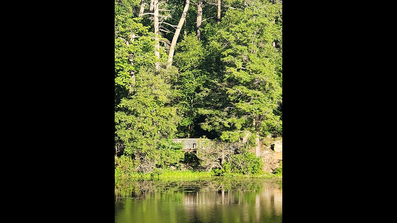 The Great Fairy's Pond.