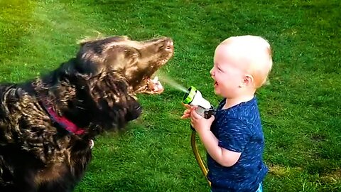 Funny Babies Playing with Dogs Compilation