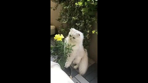 Nature is very beautiful..i like it🌹♥️🐈