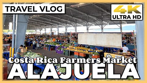 Costa Rica Farmers Market Near The Airport 🛬 Visit The Alajuela Market On Saturday Morning #travel