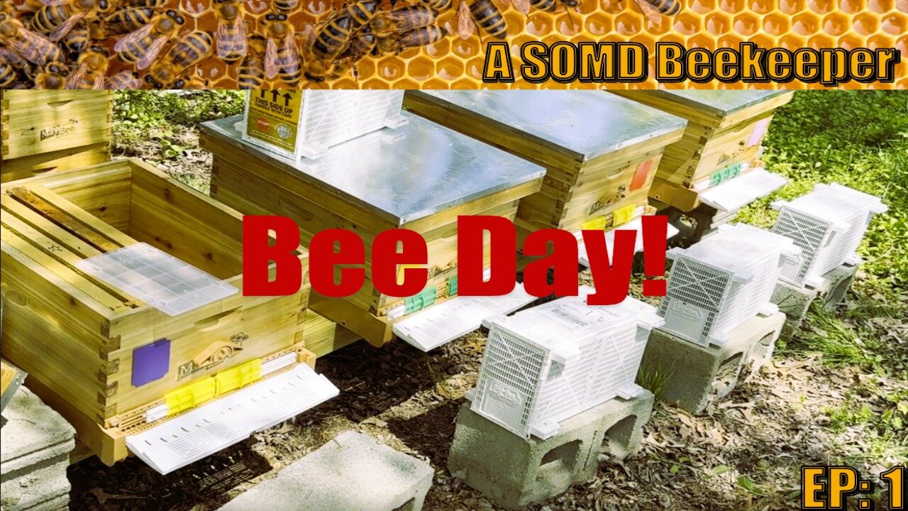 SOMD Beekeeping ep: 1 Bee-Day, a new journey