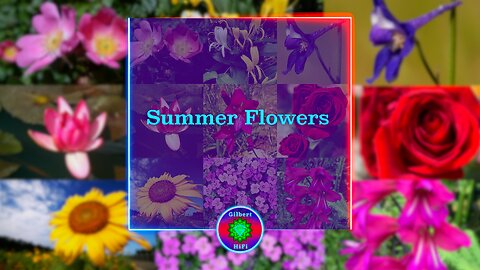 Summer Flowers