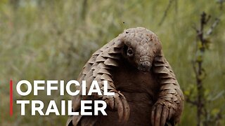 Pangolin Kulu’s Journey Official Trailer