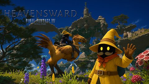 Final Fantasy XIV: Co-op