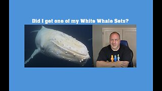 Lego Haul 06-18-2025