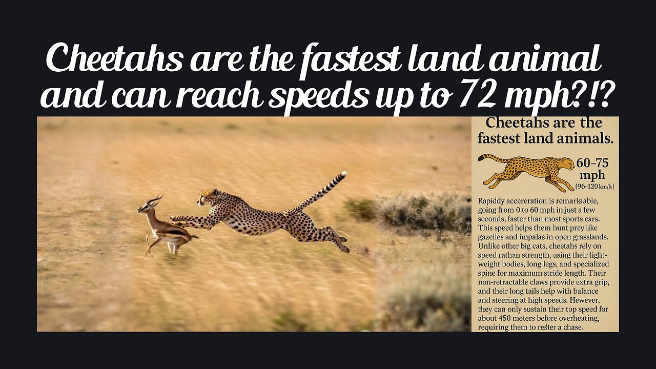 Fun Fact for June 10th 2025 Pt 2