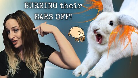 STOP! Don’t Treat Ear Mites Until You Watch This!