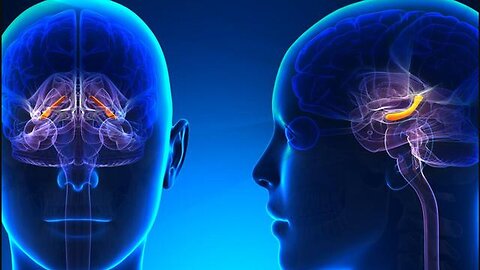 "Unveiling the Truth: How Vaccines Affect Hippocampus and Cognition - Naomi Wolf & Mike Nehls"