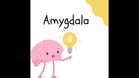 the Amygdala