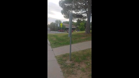 Daily Morning Walk