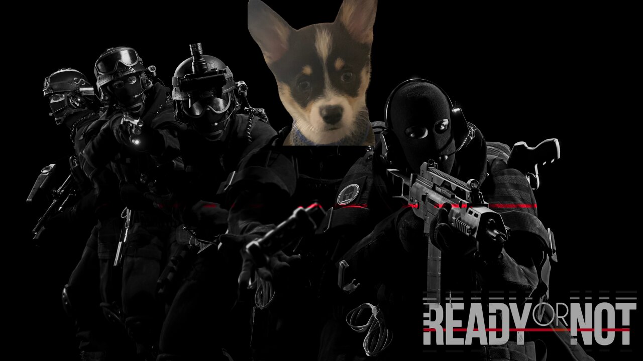 My Corgi and I try Ready or Not in the Den! | Thank you so much for joining and cheering us on!
