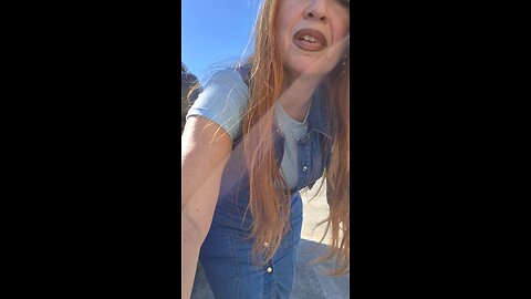 My life after Hurricane Milton 🌀 Living in my van by Johara Gemma