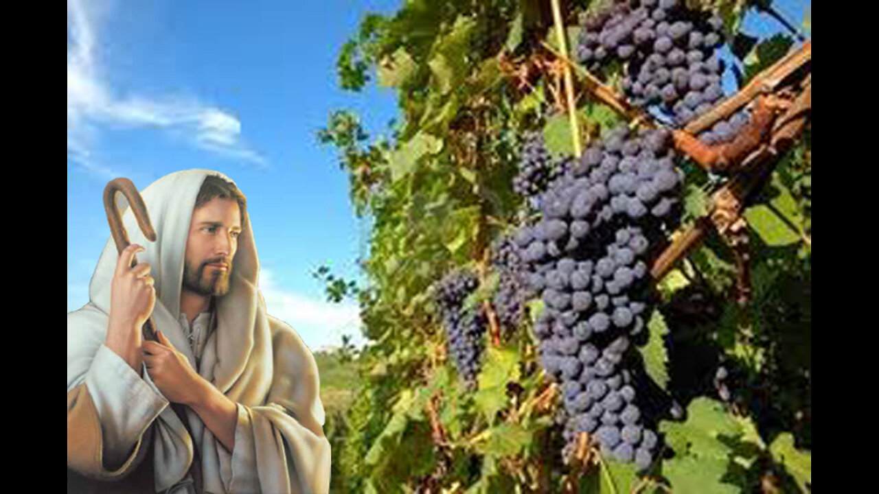 RESSURREIÇÃO - CEIA DO SENHOR - 200425