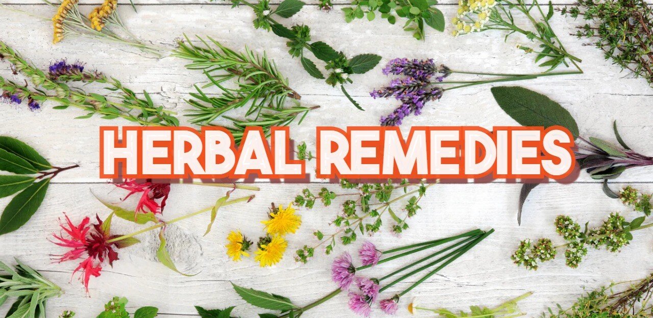 Herbal Remedies w/Trisha Jones