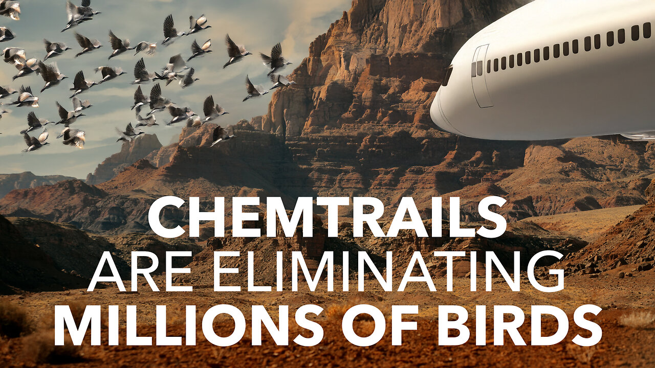 Chemtrails Are Eliminating Millions Of Birds