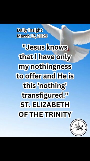 Daily Insight March 17, 2025