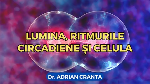 Lumina, ritmurile circadiene și celula