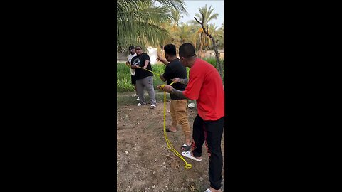 Funny arab
