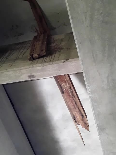 Final Destination Shit