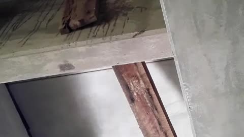 Final Destination Shit