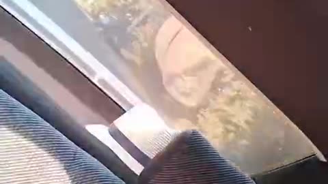 The children in the backseat screamed, cried and prayed😪🙏