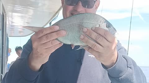 Porgie on the Lou