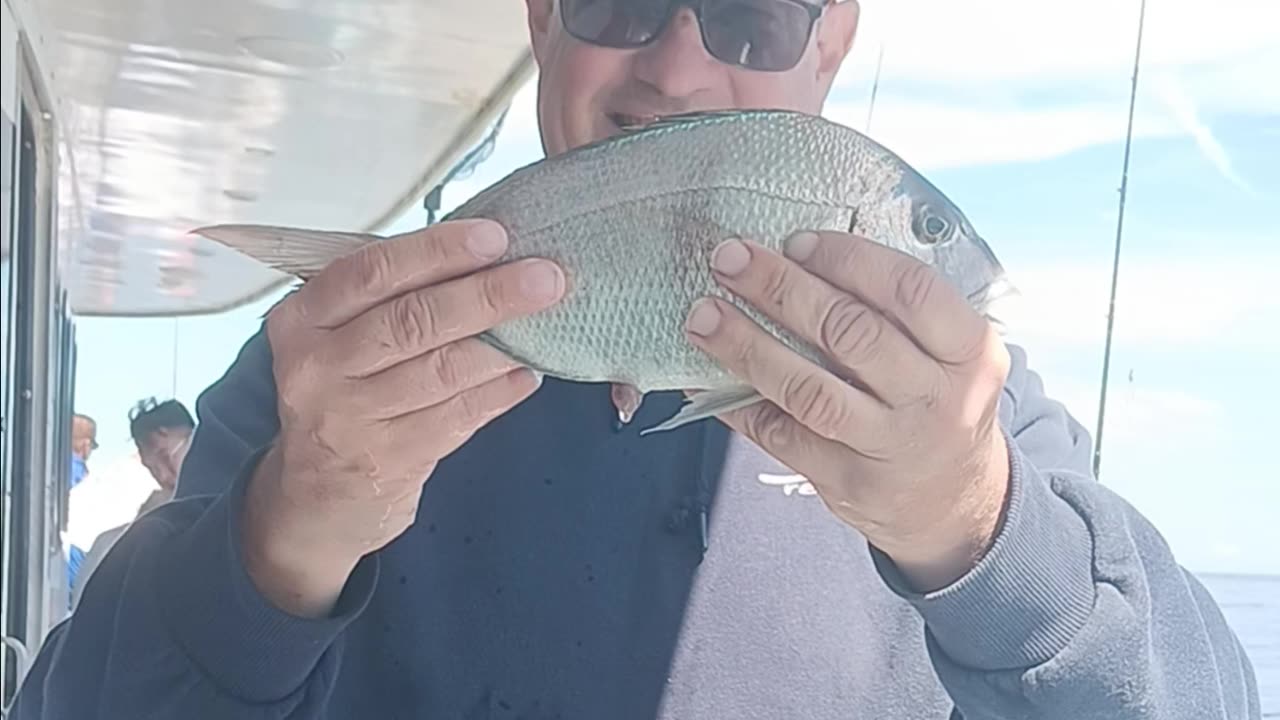 Porgie on the Lou